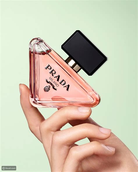 prada driehoek parfum|prada paradoxe perfume price.